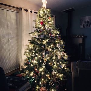 Meet your Posher, Laney